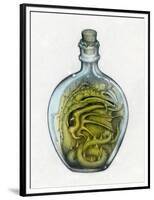 Bottled Dragon-Wayne Anderson-Framed Premium Giclee Print