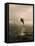 Bottlenose Dolphin Jumping Out of Water-Stuart Westmorland-Framed Stretched Canvas