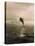 Bottlenose Dolphin Jumping Out of Water-Stuart Westmorland-Stretched Canvas