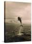 Bottlenose Dolphin Jumping Out of Water-Stuart Westmorland-Stretched Canvas