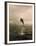 Bottlenose Dolphin Jumping Out of Water-Stuart Westmorland-Framed Premium Photographic Print