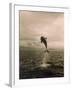 Bottlenose Dolphin Jumping Out of Water-Stuart Westmorland-Framed Premium Photographic Print