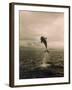 Bottlenose Dolphin Jumping Out of Water-Stuart Westmorland-Framed Premium Photographic Print