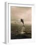 Bottlenose Dolphin Jumping Out of Water-Stuart Westmorland-Framed Photographic Print