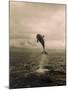 Bottlenose Dolphin Jumping Out of Water-Stuart Westmorland-Mounted Photographic Print