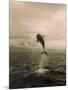 Bottlenose Dolphin Jumping Out of Water-Stuart Westmorland-Mounted Photographic Print