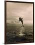 Bottlenose Dolphin Jumping Out of Water-Stuart Westmorland-Framed Photographic Print