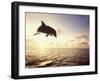 Bottlenose Dolphin Jumping Out of Water-Stuart Westmorland-Framed Photographic Print