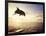 Bottlenose Dolphin Jumping Out of Water-Stuart Westmorland-Framed Photographic Print