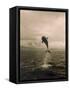 Bottlenose Dolphin Jumping Out of Water-Stuart Westmorland-Framed Stretched Canvas