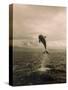 Bottlenose Dolphin Jumping Out of Water-Stuart Westmorland-Stretched Canvas