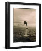 Bottlenose Dolphin Jumping Out of Water-Stuart Westmorland-Framed Photographic Print