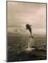 Bottlenose Dolphin Jumping Out of Water-Stuart Westmorland-Mounted Photographic Print