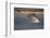 Bottlenose Dolphin (Tursiops Truncatus) Breaching in Evening Light, Moray Firth, Scotland, UK-John Macpherson-Framed Photographic Print