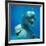 Bottlenose Dolphin Two Facing Camera-Augusto Leandro Stanzani-Framed Photographic Print