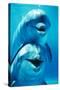 Bottlenose Dolphin Two, Facing, One on Top of the Other-Augusto Leandro Stanzani-Stretched Canvas