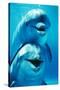 Bottlenose Dolphin Two, Facing, One on Top of the Other-Augusto Leandro Stanzani-Stretched Canvas