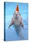 Bottlenose Dolphin with Party Hat and Streamers-Augusto Leandro Stanzani-Stretched Canvas