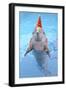 Bottlenose Dolphin with Party Hat and Streamers-Augusto Leandro Stanzani-Framed Photographic Print