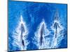 Bottlenose dolphins. Baja California, Sea of Cortez, Mexico.-Tom Norring-Mounted Photographic Print