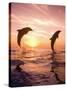 Bottlenose Dolphins, Caribbean Sea Near Roatan, Honduras-Stuart Westmoreland-Stretched Canvas