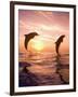 Bottlenose Dolphins, Caribbean Sea Near Roatan, Honduras-Stuart Westmoreland-Framed Photographic Print