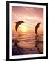 Bottlenose Dolphins, Caribbean Sea Near Roatan, Honduras-Stuart Westmoreland-Framed Photographic Print