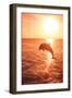 Bottlenose Dolphins, Caribbean Sea, near Roatan, Honduras-Stuart Westmorland-Framed Photographic Print