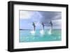 Bottlenose Dolphins, Caribbean Sea, Roatan, Bay Islands, Honduras-Stuart Westmorland-Framed Photographic Print