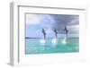 Bottlenose Dolphins, Caribbean Sea, Roatan, Bay Islands, Honduras-Stuart Westmorland-Framed Photographic Print