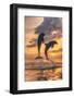 Bottlenose Dolphins, Caribbean Sea, Roatan, Bay Islands, Honduras-Stuart Westmorland-Framed Photographic Print