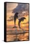 Bottlenose Dolphins, Caribbean Sea, Roatan, Bay Islands, Honduras-Stuart Westmorland-Framed Stretched Canvas