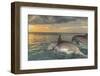 Bottlenose Dolphins, Caribbean Sea, Roatan, Bay Islands, Honduras-Stuart Westmorland-Framed Photographic Print