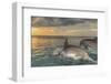 Bottlenose Dolphins, Caribbean Sea, Roatan, Bay Islands, Honduras-Stuart Westmorland-Framed Photographic Print