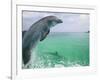 Bottlenose Dolphins, Caribbean Sea-Stuart Westmoreland-Framed Photographic Print