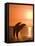 Bottlenose Dolphins, Caribbean Sea-Stuart Westmoreland-Framed Stretched Canvas