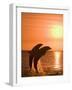 Bottlenose Dolphins, Caribbean Sea-Stuart Westmoreland-Framed Photographic Print