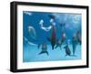 Bottlenose Dolphins Dancing and Blowing Air Underwater-Augusto Leandro Stanzani-Framed Premium Photographic Print