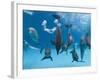 Bottlenose Dolphins Dancing and Blowing Air Underwater-Augusto Leandro Stanzani-Framed Photographic Print