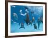 Bottlenose Dolphins Dancing and Blowing Air Underwater-Augusto Leandro Stanzani-Framed Photographic Print