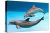 Bottlenose Dolphins Dancing Underwater-Augusto Leandro Stanzani-Stretched Canvas