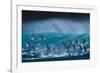 Bottlenose dolphins porpoising over waves, South Africa-Wim van den Heever-Framed Photographic Print