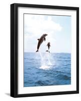 Bottlenose Dolphins Spinning in Water-null-Framed Photographic Print