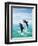 Bottlenose Dolphins Spinning in Water-null-Framed Premium Photographic Print