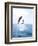 Bottlenose Dolphins Spinning in Water-null-Framed Photographic Print