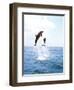 Bottlenose Dolphins Spinning in Water-null-Framed Photographic Print