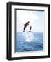 Bottlenose Dolphins Spinning in Water-null-Framed Photographic Print