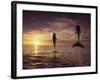 Bottlenose Dolphins, Tursiops Truncatus-Stuart Westmorland-Framed Photographic Print