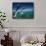 Bottlenose Dolphins, Tursiops Truncatus-Stuart Westmorland-Framed Stretched Canvas displayed on a wall