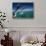 Bottlenose Dolphins, Tursiops Truncatus-Stuart Westmorland-Stretched Canvas displayed on a wall